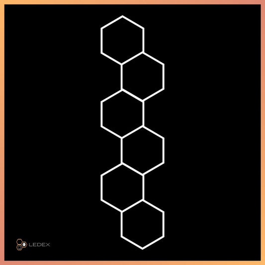 Hexagon 6