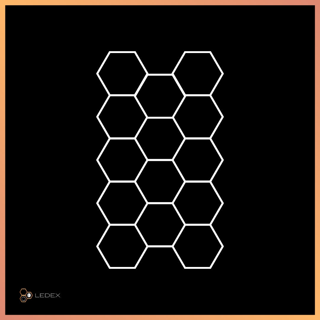 Hexagon 19