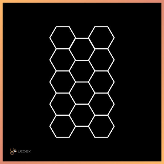 Hexagon 19