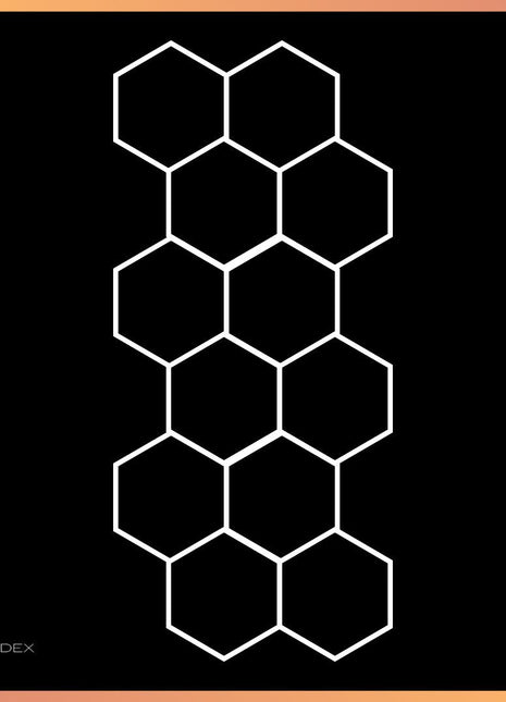 Hexagon 12