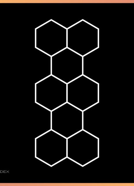 Hexagon 8